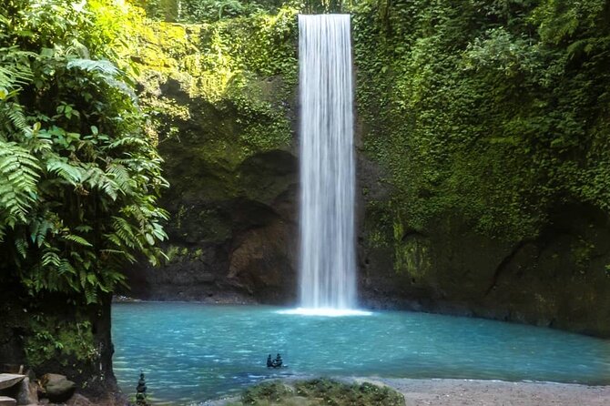 Best of Eastern Bali Waterfalls ( Private Tours ) - Excluded From the Tour