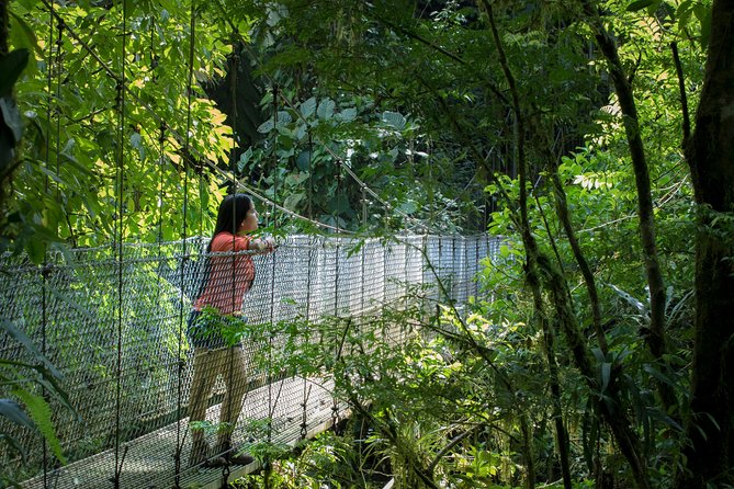 Best of La Fortuna Combo Tour - Wildlife Watching Tips