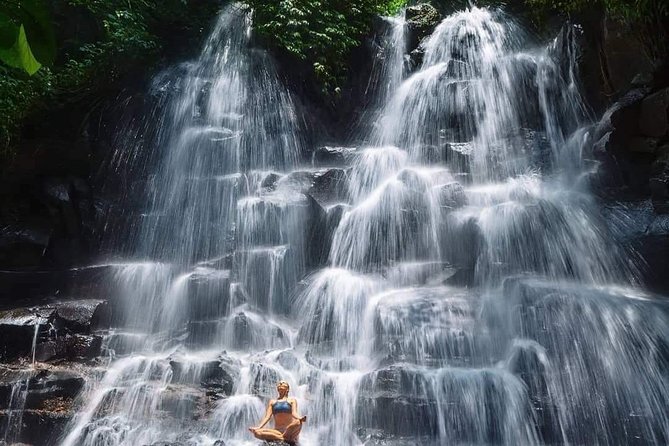 Best of Ubud Waterfalls, Tegalalang Rice Terrace and Swing Tour - Tegalalang Rice Terrace