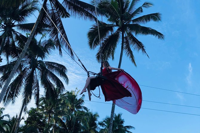 Best of Ubud With Jungle Swing Experience - Gunung Kawi Sebatu Temple