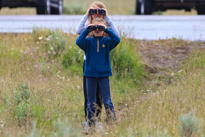 Best of Yellowstone - Guided National Park Safari Tour - Customer Experiences and Reviews