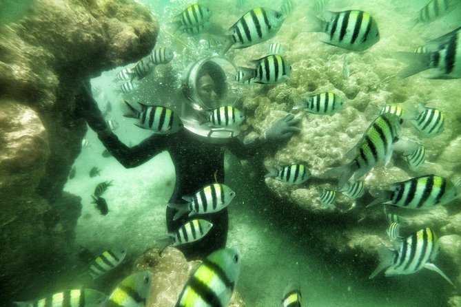Best Package 3 in One Water Sport - Booking Information