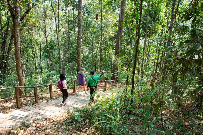 Best Seller: Doi Inthanon National Park Full Day Tour - Key Highlights