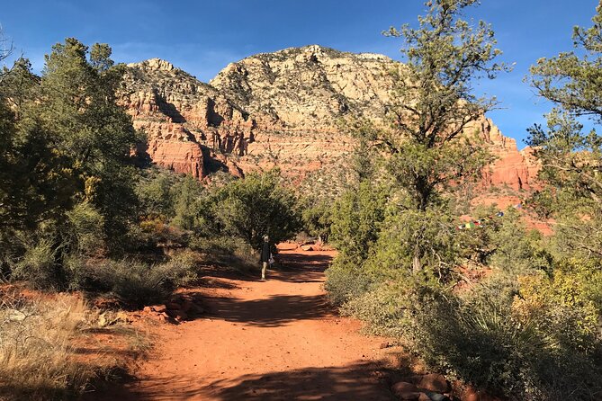 Best Vortex and Chakra Tour of Sedona - Traveler Experiences and Testimonials