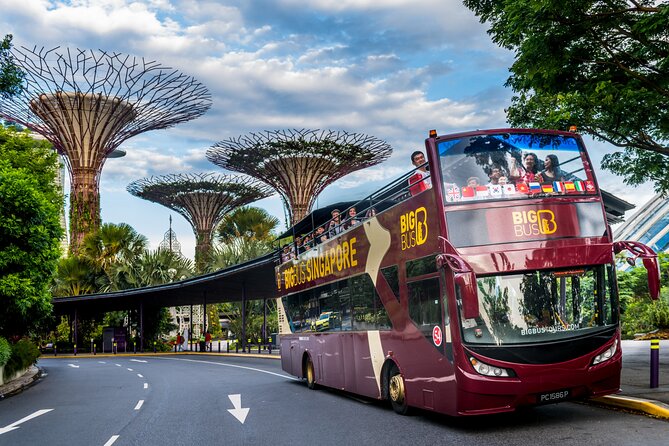 Big Bus Singapore Hop-On Hop-Off Tour - Night Tour Experience
