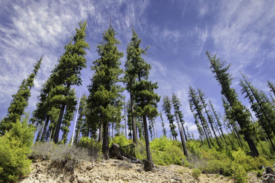 Big Sky Self-Guided Driving Tour - Mountain Shoshone People