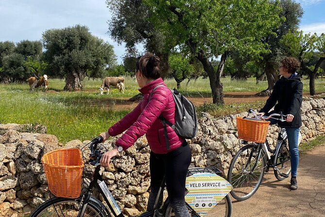 Bike Rental in Bari - Explore Baris Sights
