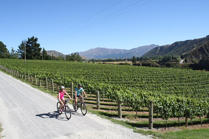 Bike The Wineries 3/4 Day Ride Queenstown - Customer Experiences