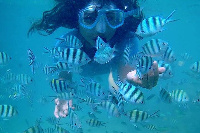 Bintan Snorkeling Tour - Customer Reviews and Experiences