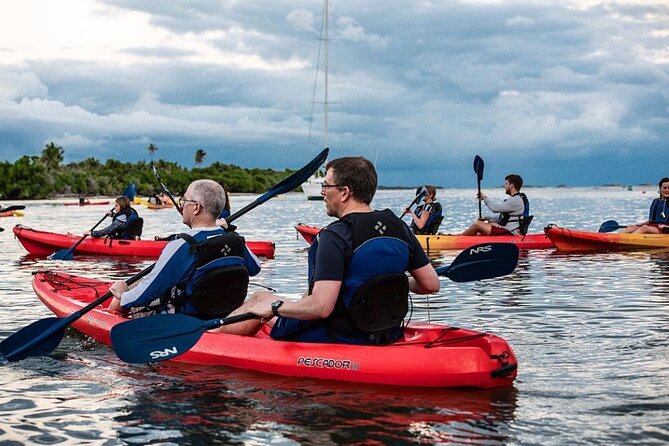 Bio Bay Kayak Tour in Fajardo - Accessibility and Accommodations
