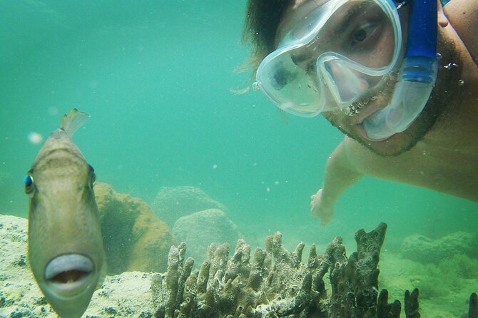 Biologist Owned & Operated: Dolphin Watching & Guided Snorkeling - Environmental Commitment