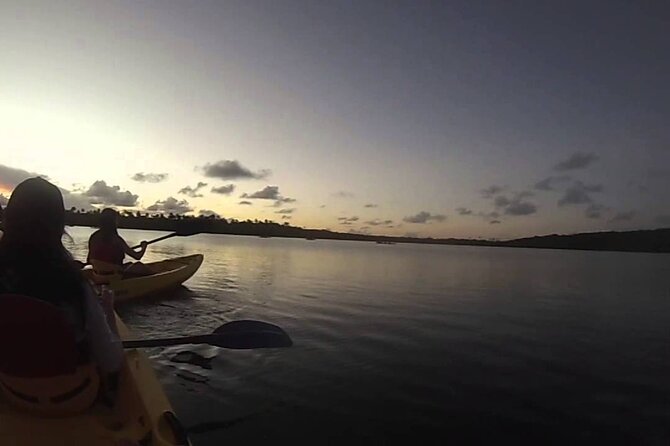 Bioluminescent Bay Night Kayak Experience - Recommended Attire and Gear