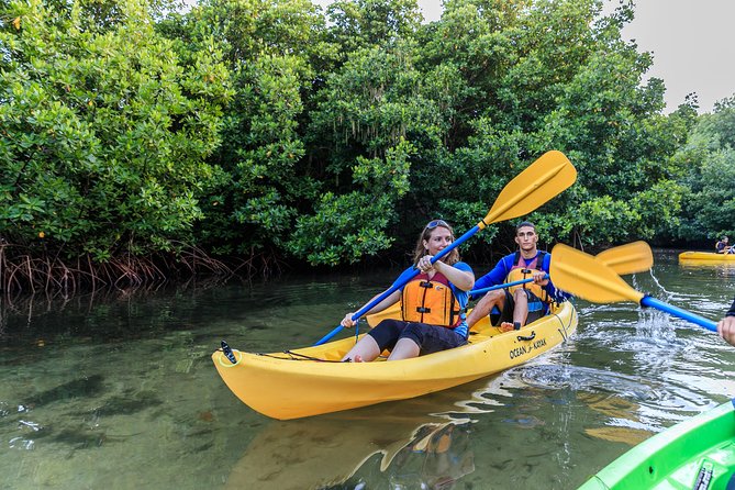 Bioluminescent Bay Night Kayaking | 7:30pm - Meeting Point and Logistics