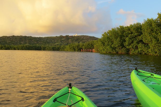 Bioluminescent Glowing Bay Kayaking Adventure in Puerto Rico - Booking Information and Policies