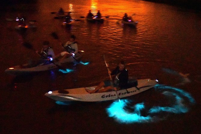 Bioluminescent Kayak Tour by THE #1 Rated Company in Cocoa Beach - Kayak Options and Details