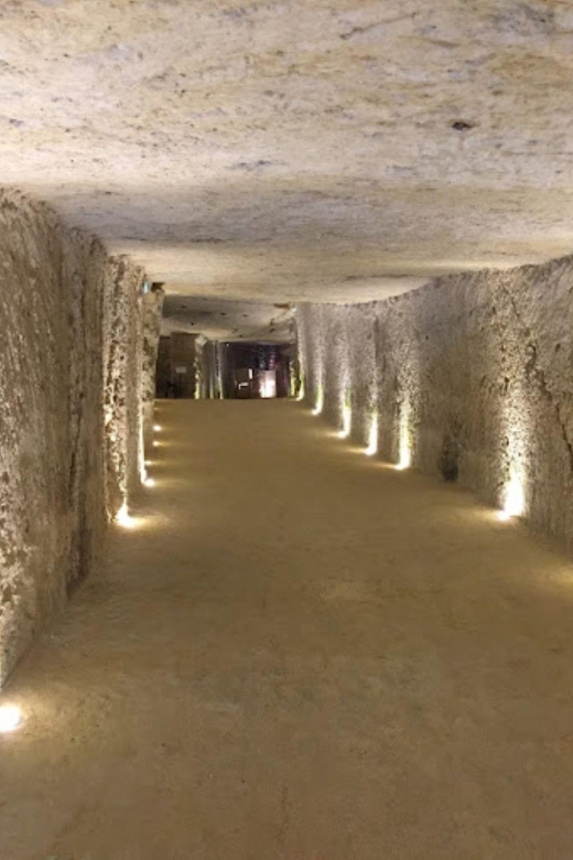 Blois: Exclusive Wine Tasting in Cheverny and Cour Cheverny - Tasting Highlights