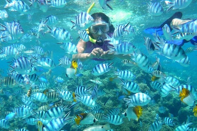Bloo Lagoon Snorkeling East Bali Includes Transportation & Lunch - Booking Process