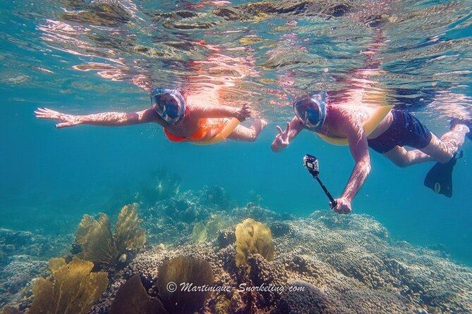 Boat Trip for Snorkeling Discovery of Corals - Customer Reviews and Feedback