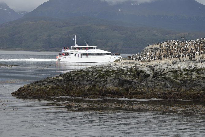 Boat Trip to the Penguin Colony on Martillo Island - Traveler Feedback and Considerations