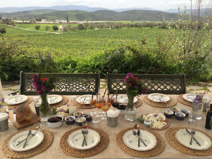 Bodrum Vineyard Tour With Dinner and Wine Pairing - Booking Your Tour