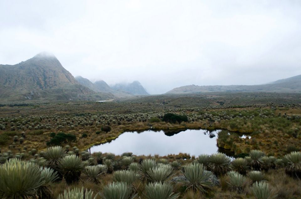 Bogotá: Sumapaz National Park Hike Tour With Lunch - Importance of the Páramo Ecosystem