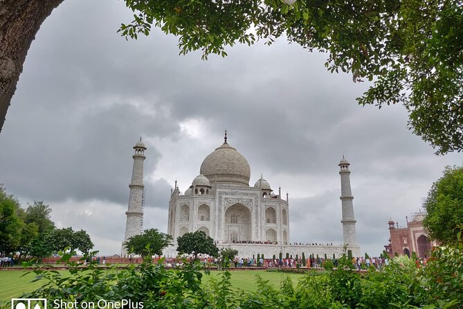 Book Govt Approved Guide for Taj Mahal & Agra Fort - Tour Confirmation and Accessibility Details