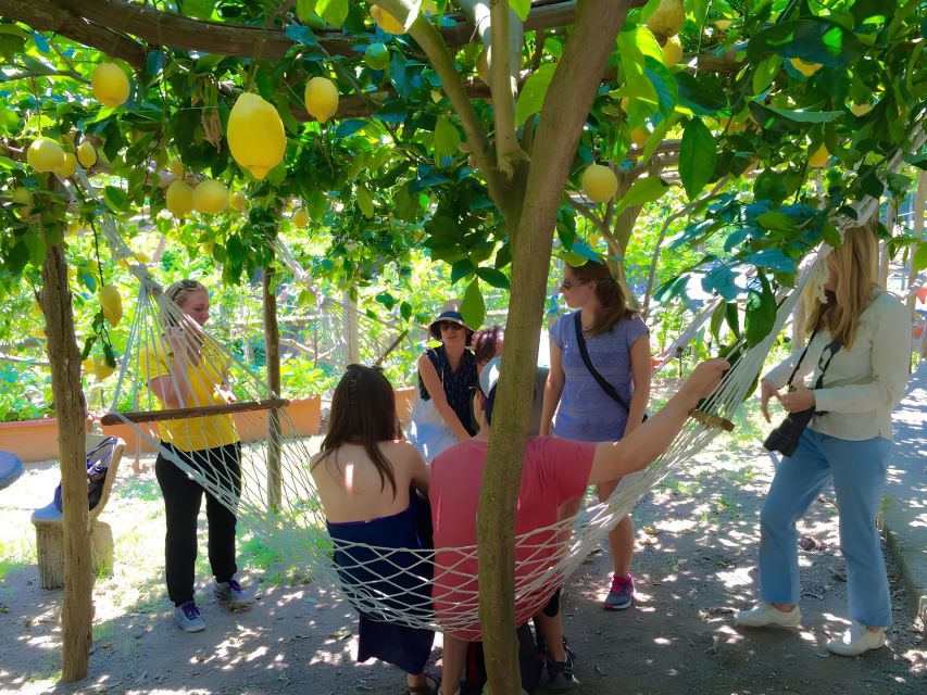 Botanic Naturalistic Lemon Tour & Tasting - Highlights of the Tour