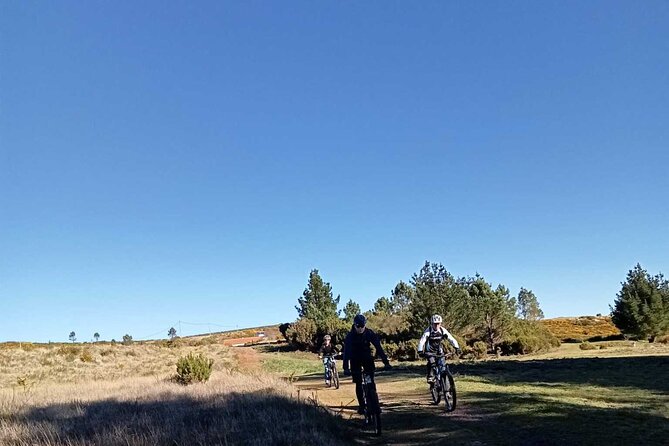 Botanical Trails of Madeira. Mountain Biking Trail Experience - Participant Requirements and Guidelines