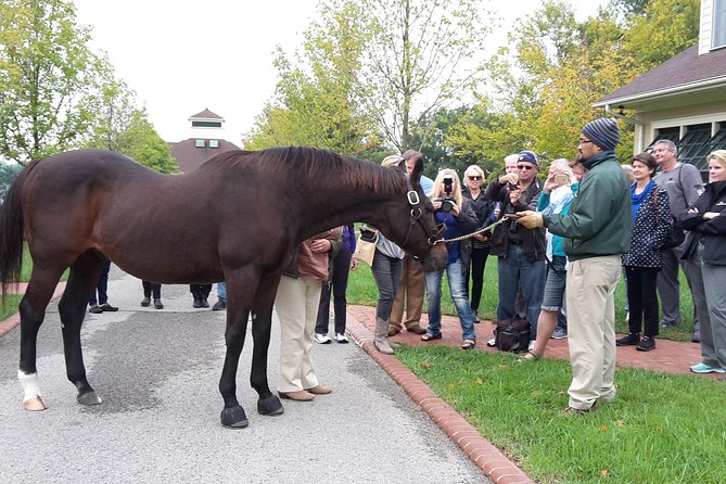 Bourbon Distillery & Horse Farm Tours - Booking Information