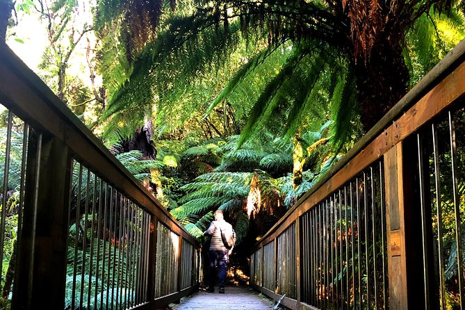 Boutique All-Inclusive Great Ocean Road, 12 Apostles and Rainforest Experience - Transportation Experience