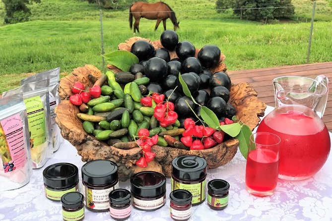 Boutique Atherton Tablelands Small-Group Food and Wine Tasting Tour From Cairns - Customer Reviews and Feedback