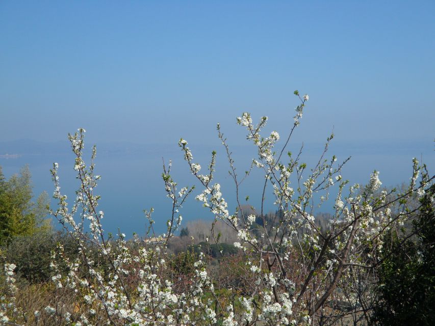 Bracciano: Odescalchi-Orsini Ancient Castle Tour With Lunch - Views of Picturesque Lake Bracciano