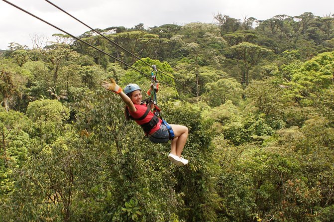 Braulio Carrillo 6 in 1 Full Day Pass With Optional Transfer - Guest Feedback Highlights