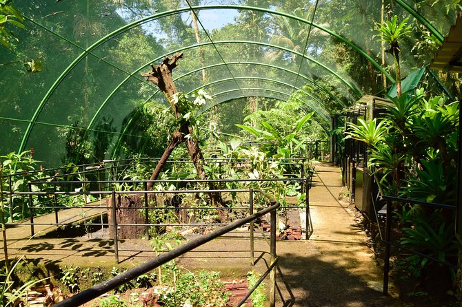 Braulio Carrillo Half Day Pass Including Aerial Tram Tour - Customer Experiences and Reviews