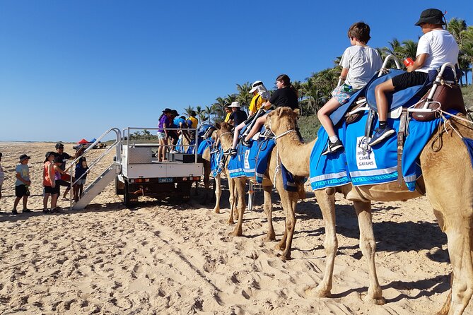 Broome Pre-Sunset Camel Tour 30 Minutes - Traveler Feedback and Reviews
