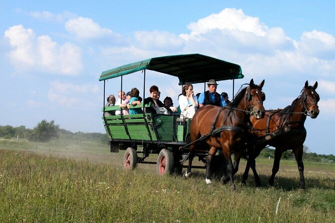 Budapest Puszta Day Trip to Kecskemet Icluding Horse Show & Lunch - Guest Experiences
