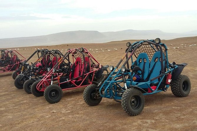 Buggy Ride in Paracas National Reserve - Customer Reviews and Feedback