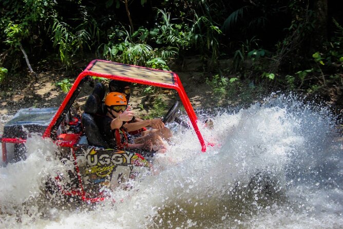 Buggy Tour From Amber Cove and Taino Bay Puerto Plata - Whats Included in the Tour