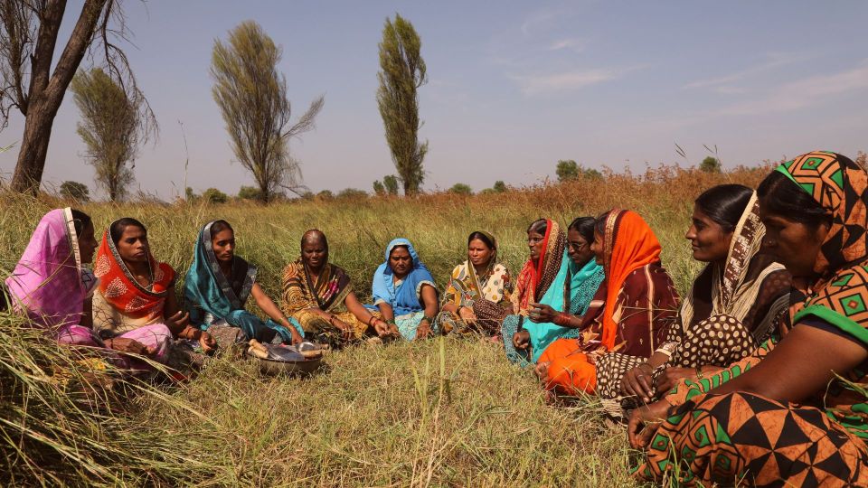 Bujra: Farm to Table at a Zen Eco-Farm Amidst The Aravallis - Hands-On Cooking Lessons