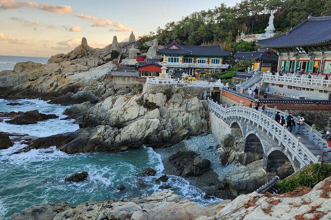 Busan Private Tour - Customer Experiences and Reviews