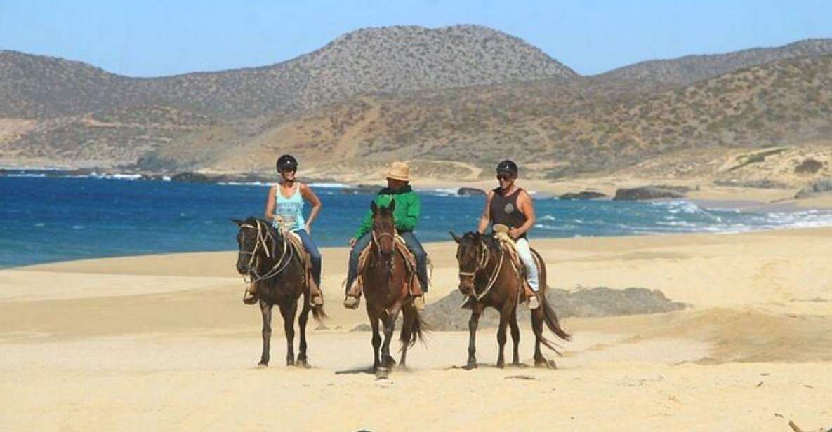 Cabo: Horseback Riding On The Beach and ATV Combo Tour - Transportation Booking