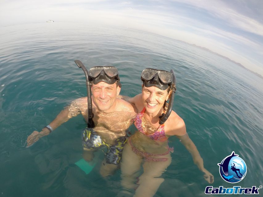 Cabo Ocean SAFARI - Booking and Cancellation Policy