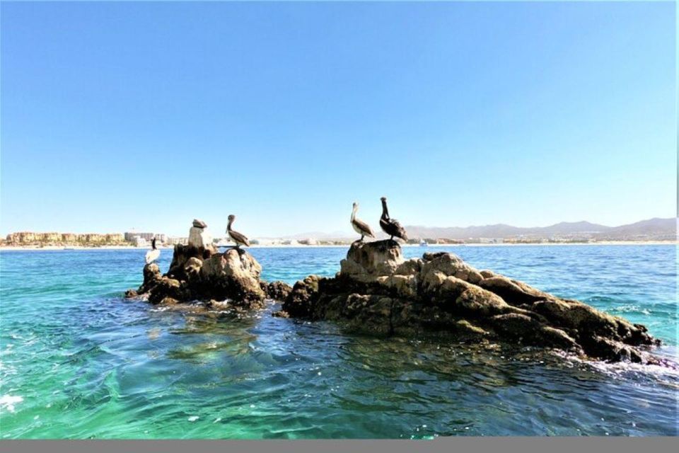 Cabo San Lucas: 45-Minute Glass-Bottom-Boat Tour - Booking Information