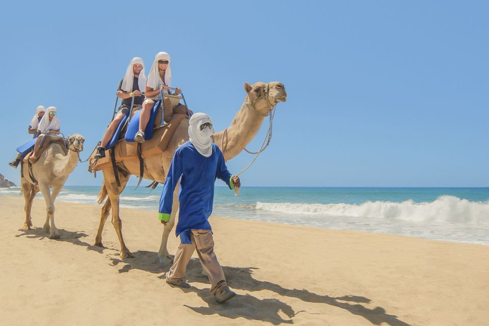 Cabo San Lucas: Camel Safari Tour With Lunch and Tequila - Important Tour Considerations