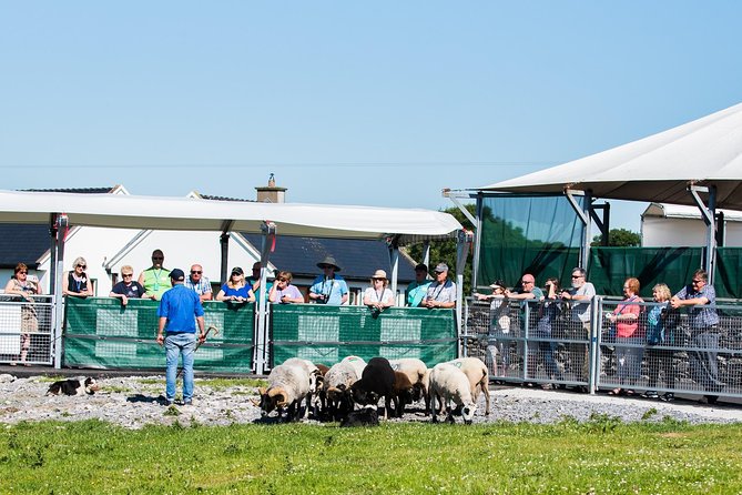 Caherconnell Fort & Sheepdog Demonstrations - Cancellation and Refund Policy