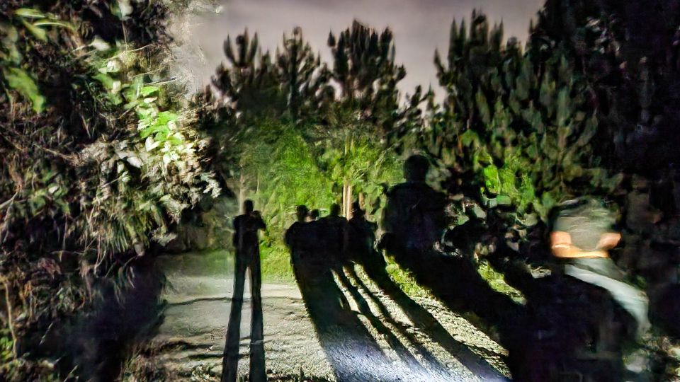 Calarca: Night Walk in the Mountains From Salento - Transportation Information