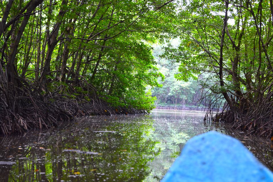 Can Gio Paddleboarding Private Full-Day Trip - Wildlife Encounter