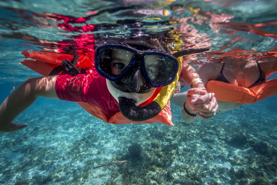 Cancun: 3-Hour Snorkel at Sunken Ship & Coral Reef - Interaction With Marine Life