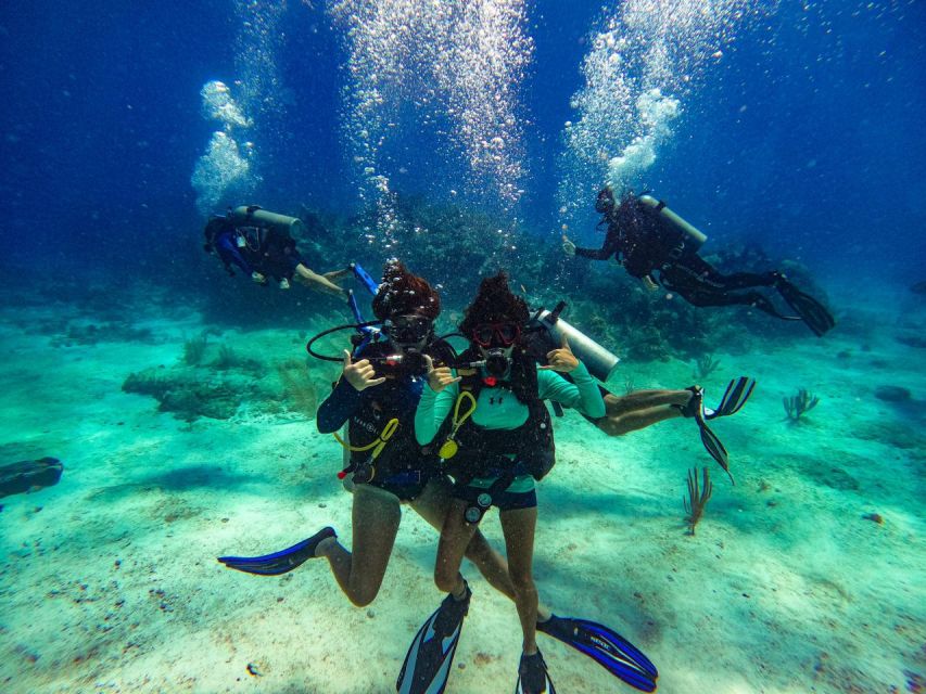 Cancun: All Included Diving Lesson (2 Tanks)