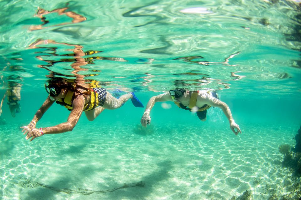 Cancun: Jungle Tour Adventure With Speedboat and Snorkeling - Additional Fees